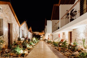 Une vue nocturne d’un bâtiment à la façade en pierre, avec un chemin en béton et différentes plantes.