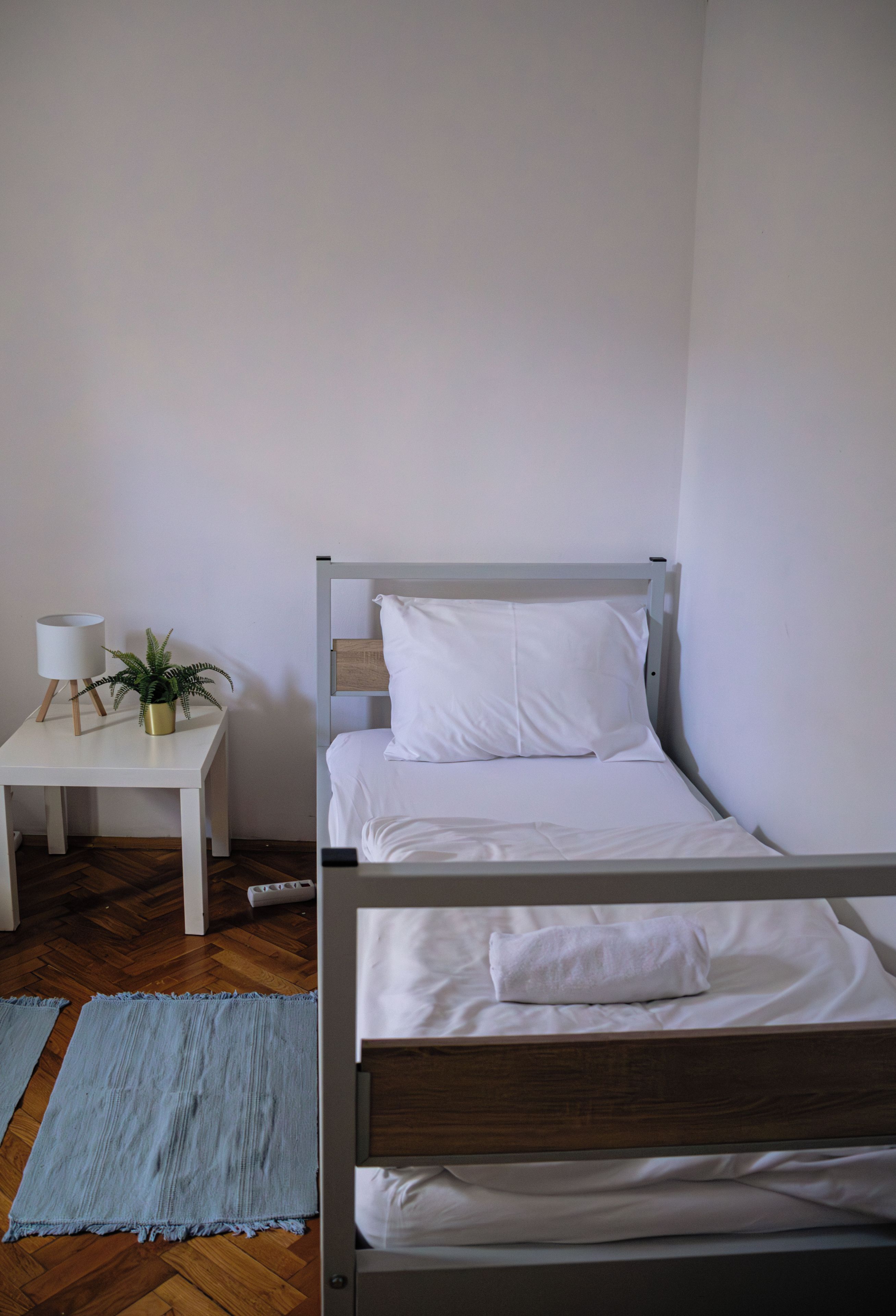 A single bed with white bedding, a bedside table with a lamp, and a small plant.