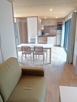 30-厘米纯平电视 （配备数码频道）、电视