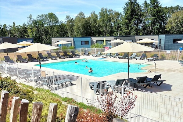 Kolam renang outdoor, dengan payung kolam renang dan kursi berjemur