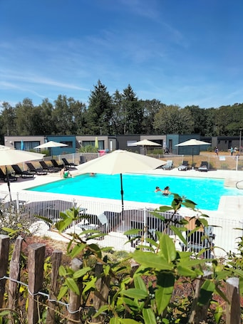 Outdoor pool, pool umbrellas, sun loungers