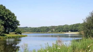 Escape to a serene lakeside haven surrounded by lush greenery and tranquil views.