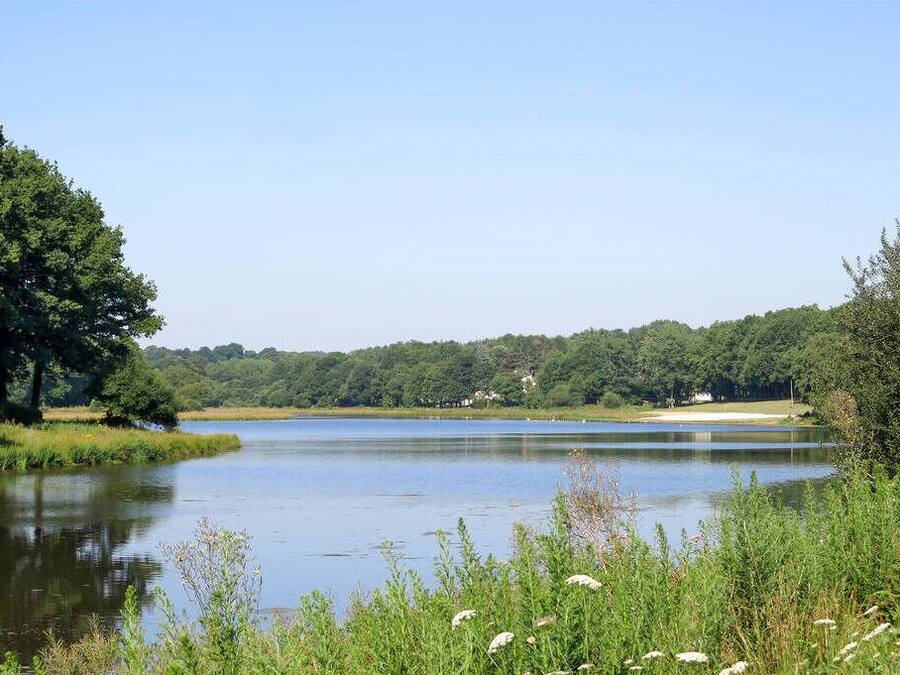 Une vue paisible sur un lac, avec un ciel dégagé, entourée d’une végétation luxuriante et d’un bâtiment situé au loin.