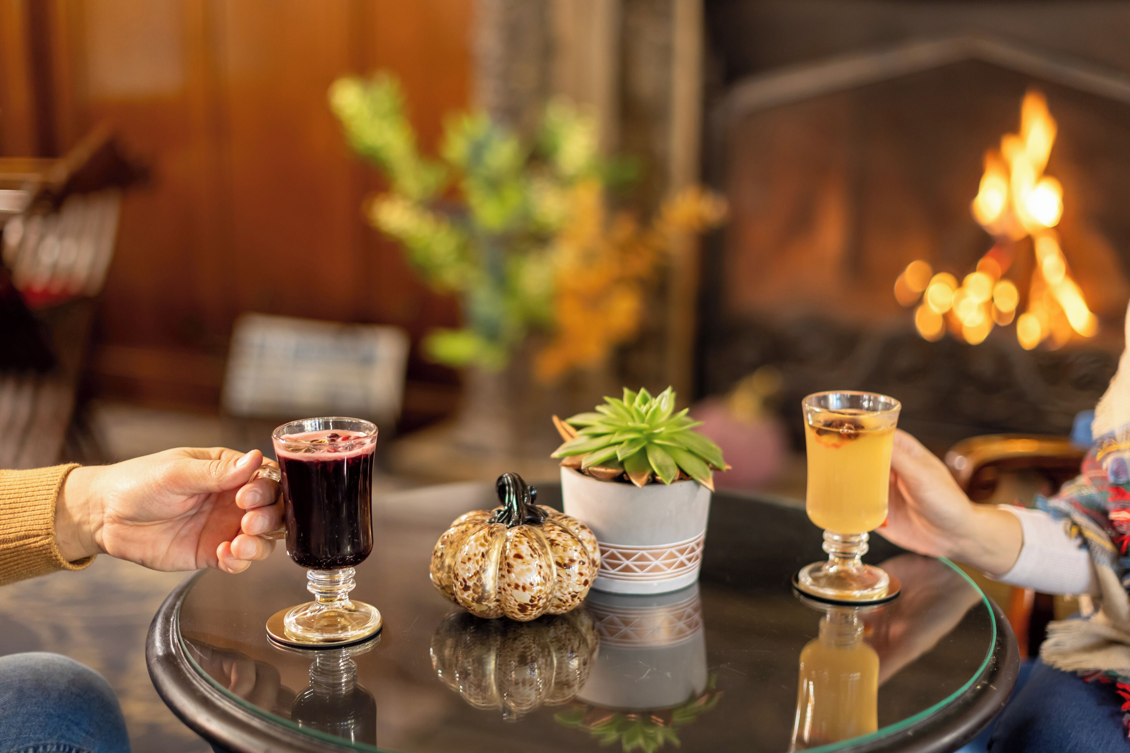 A cozy indoor setting with a glass table, two drinks, a decorative pumpkin, and a potted plant.