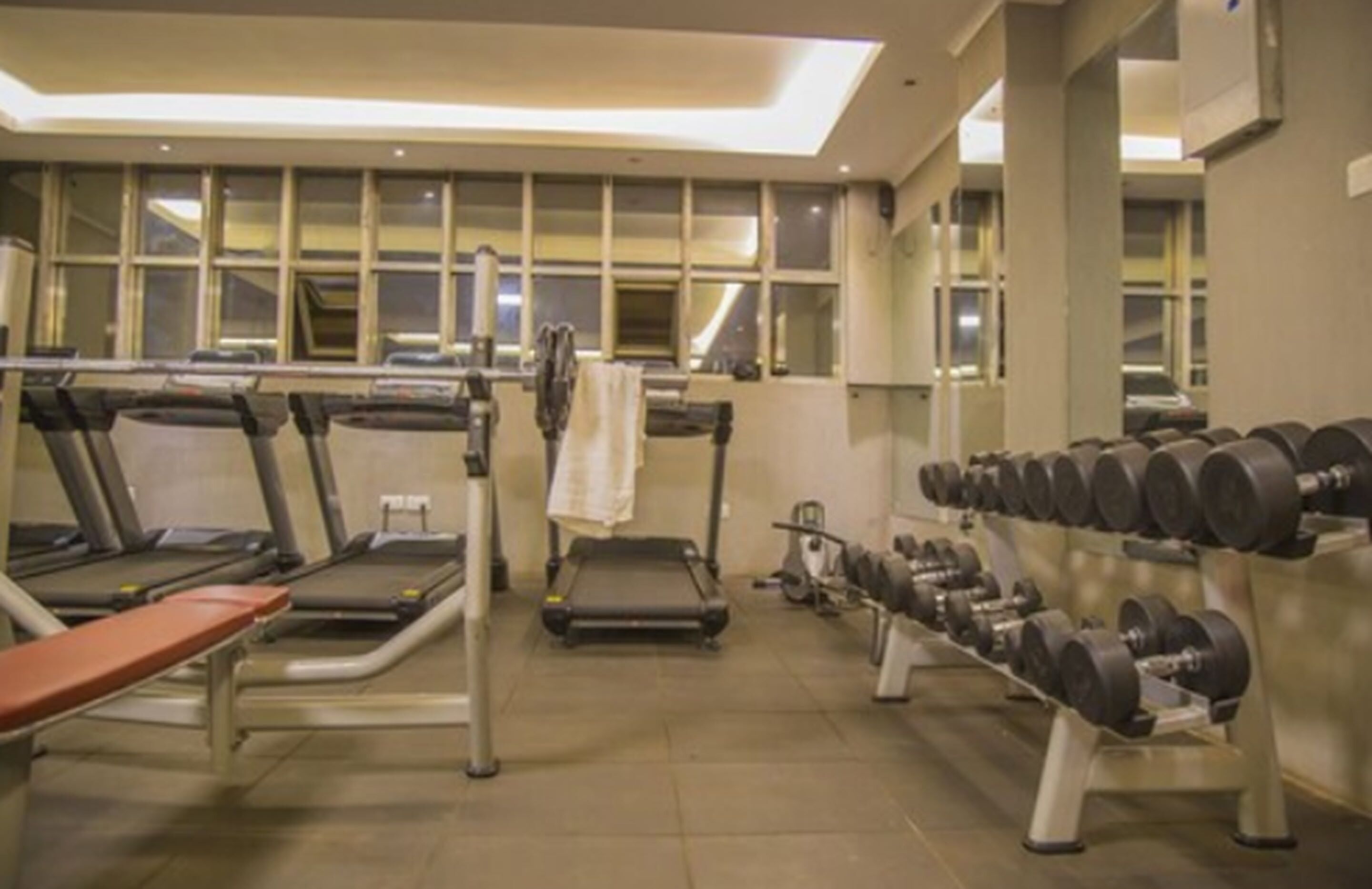 A gym with treadmills, a bench, and a rack of dumbbells.