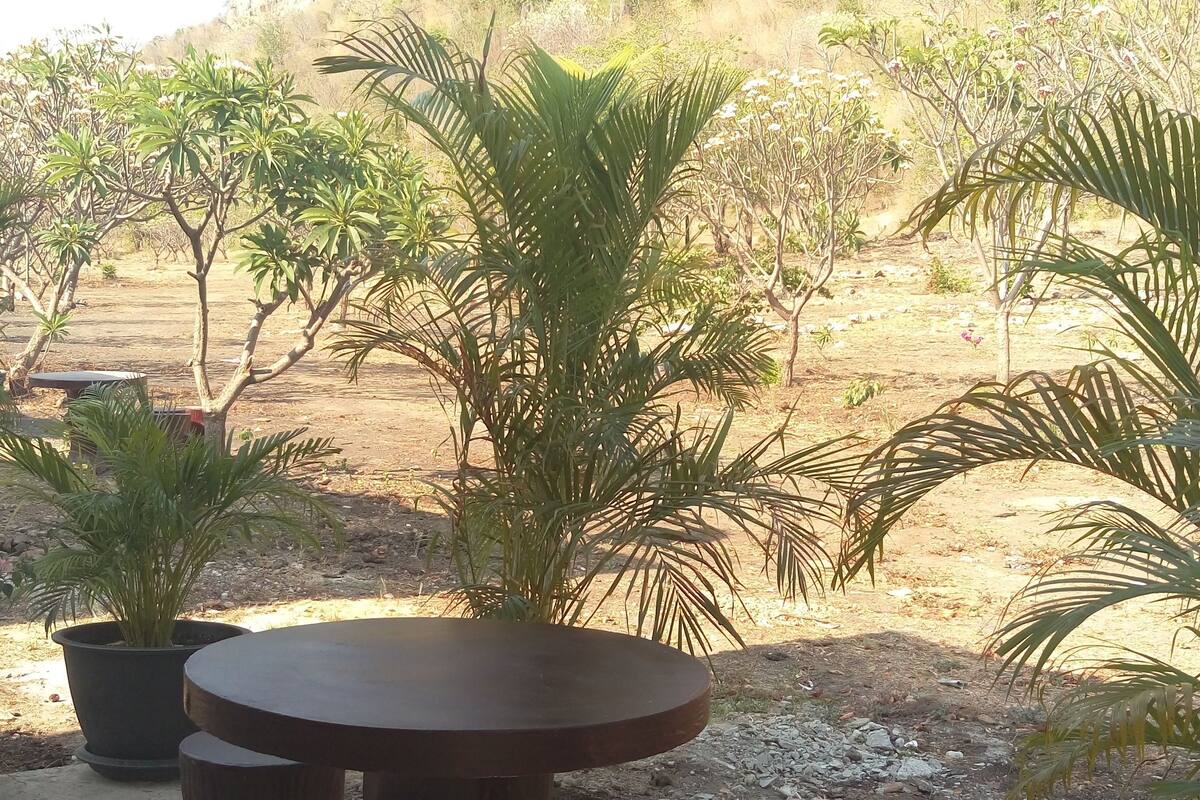 double room | terrace/patio