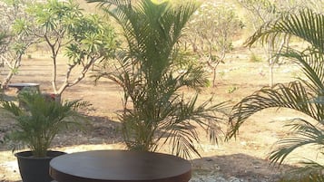 Double Room | Terrace/patio