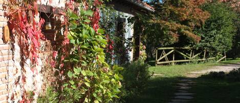 A brick building with ivy and a wooden fence.