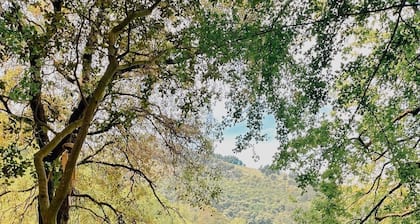 Los Acebos de Peña Cabarga