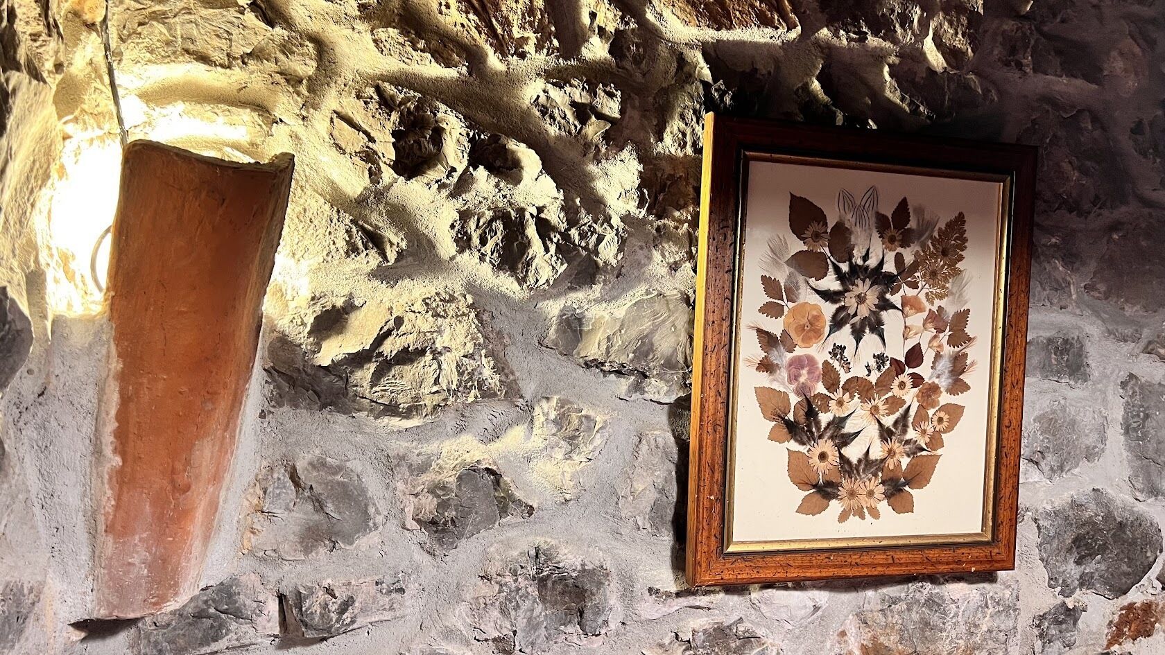 Une estampe botanique encadrée, accrochée à un mur en pierre.