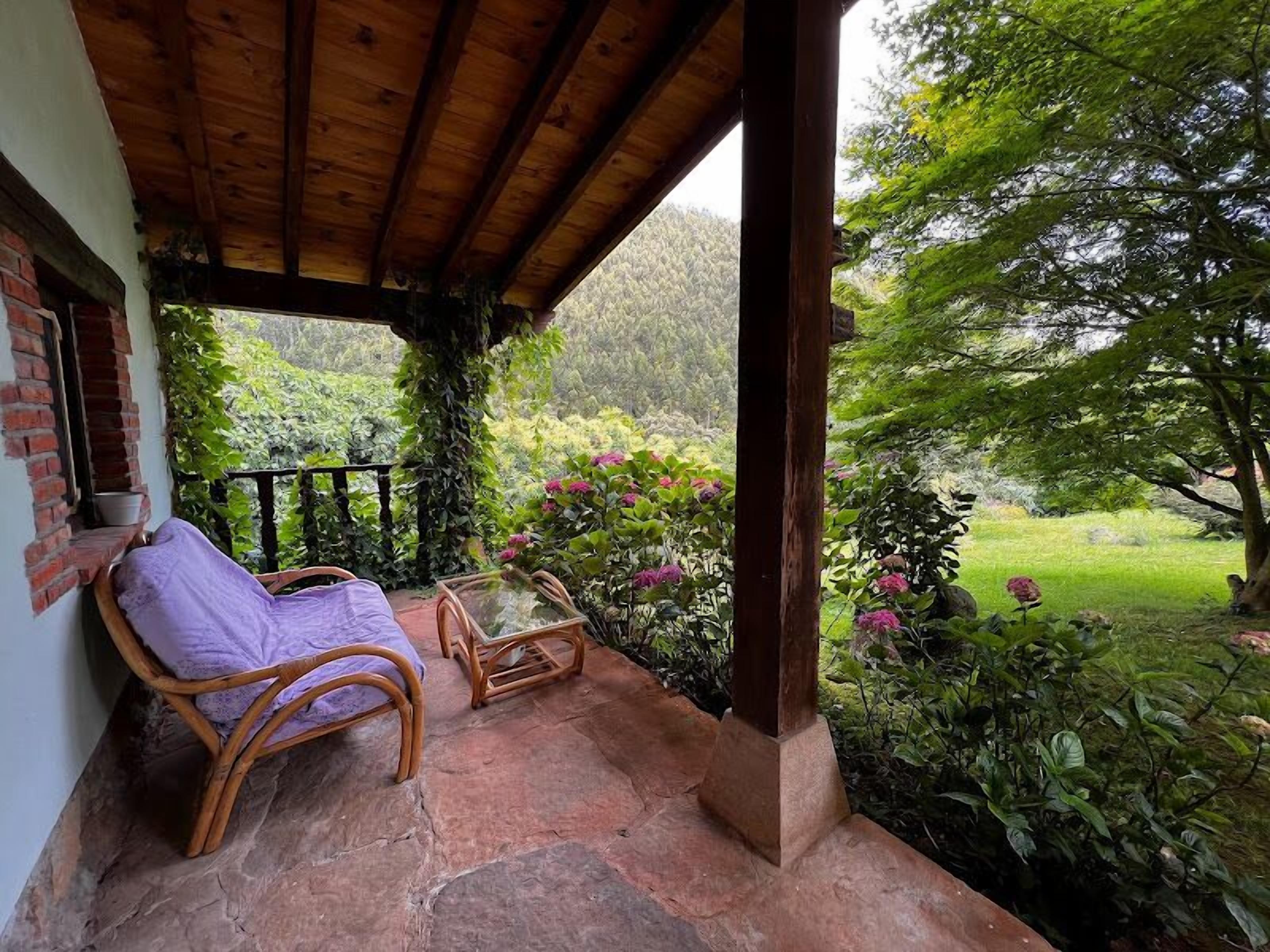 Une terrasse couverte, agrémentée de chaises et d’une table en osier, entourée d’une végétation luxuriante et de plantes en fleurs.