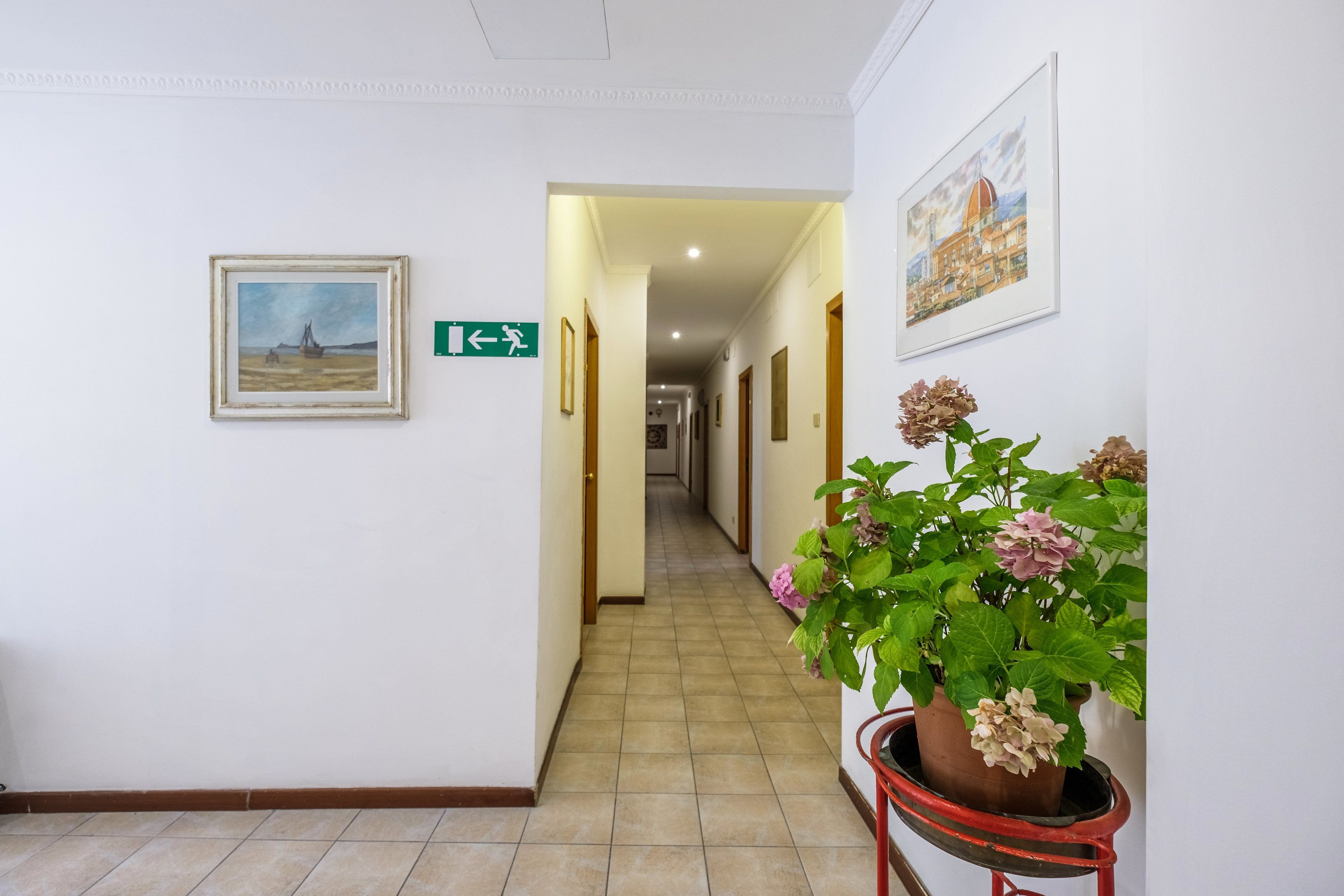 Photo - Hotel Firenze 2000