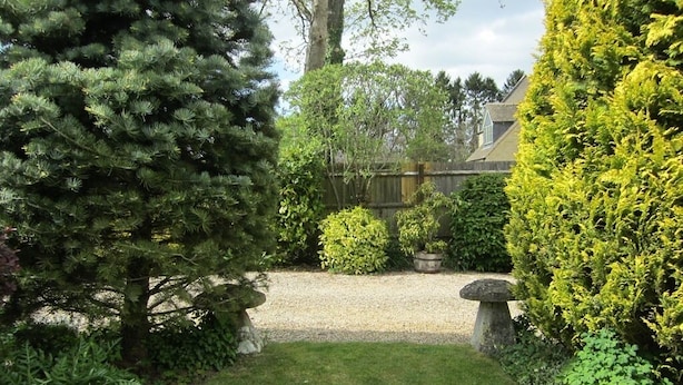 A garden with a gravel path, a stone bench, and various shrubs and trees. - Coombe House (Cheltenham)