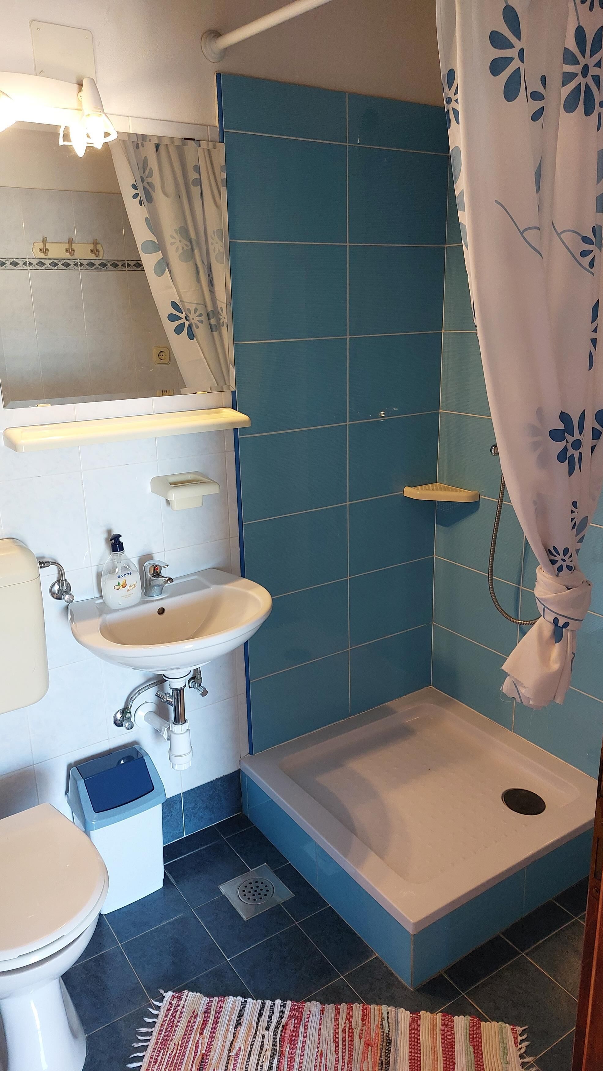 Une salle de bain comprenant un lavabo, des toilettes et un espace douche.