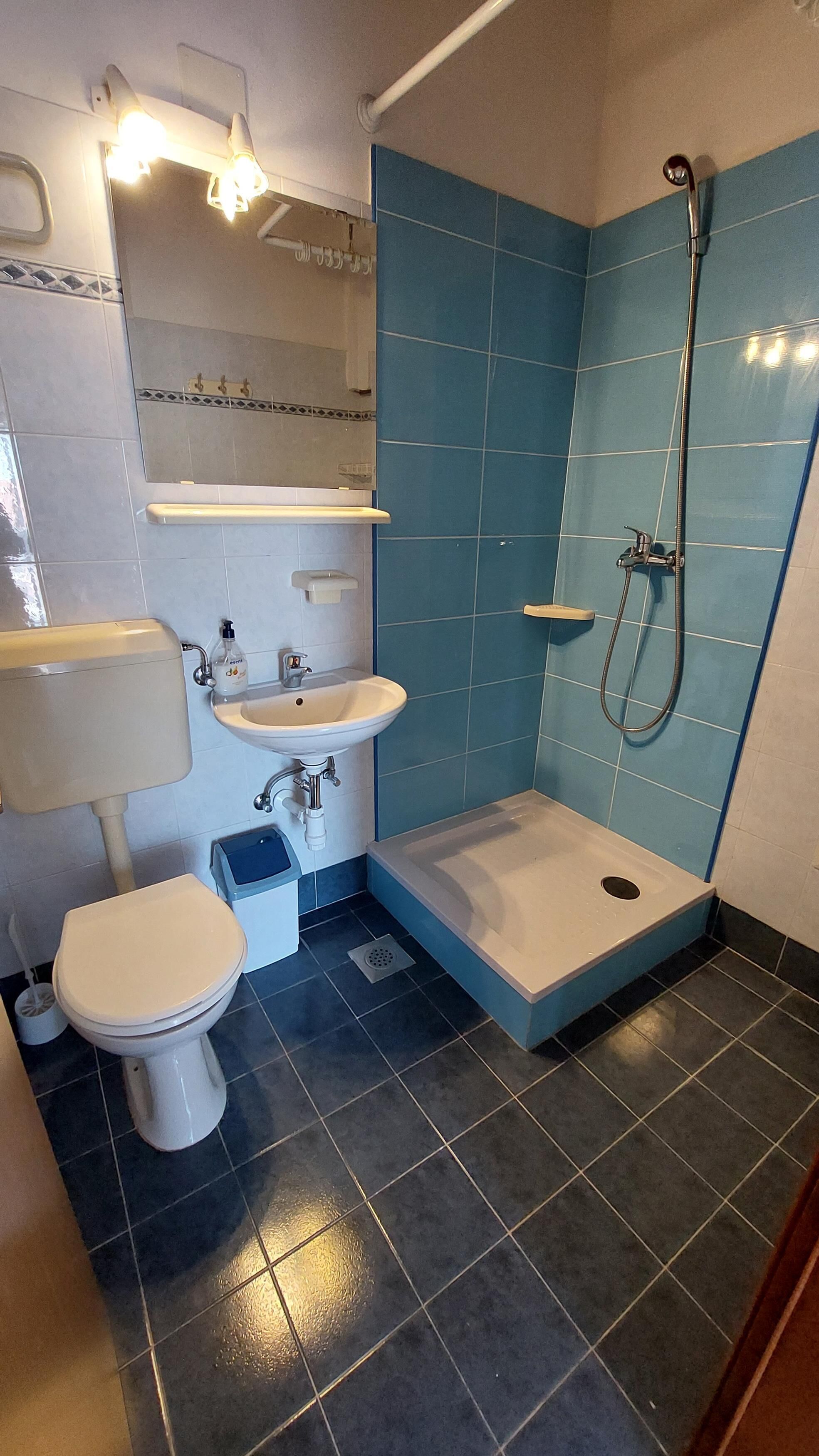 Un baño con inodoro, lavamanos y ducha.