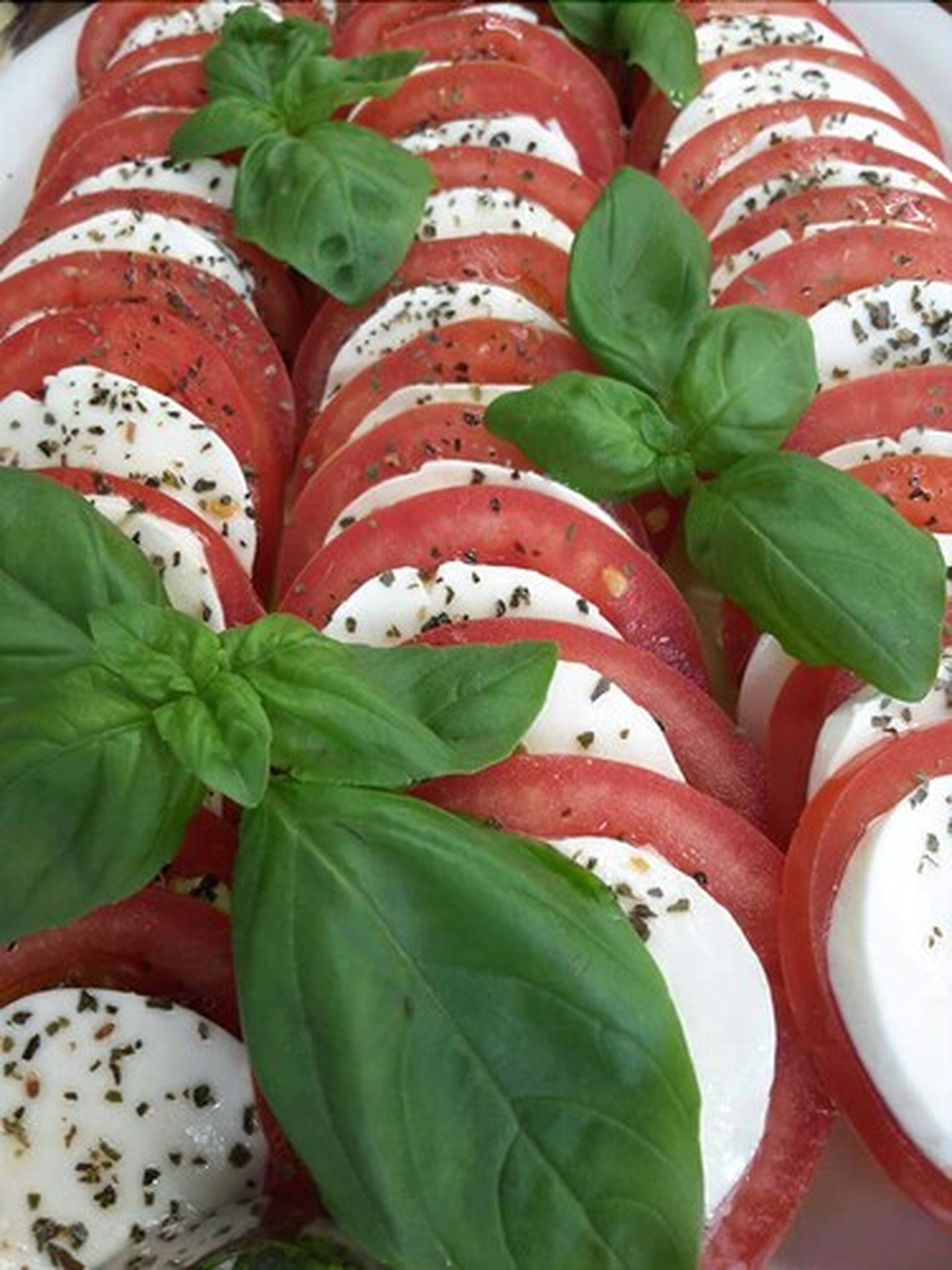A neatly arranged dish of sliced tomatoes, mozzarella, and basil leaves.