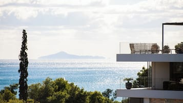 Suite ejecutiva, bañera de hidromasaje, vistas al mar | Vistas del balcón
