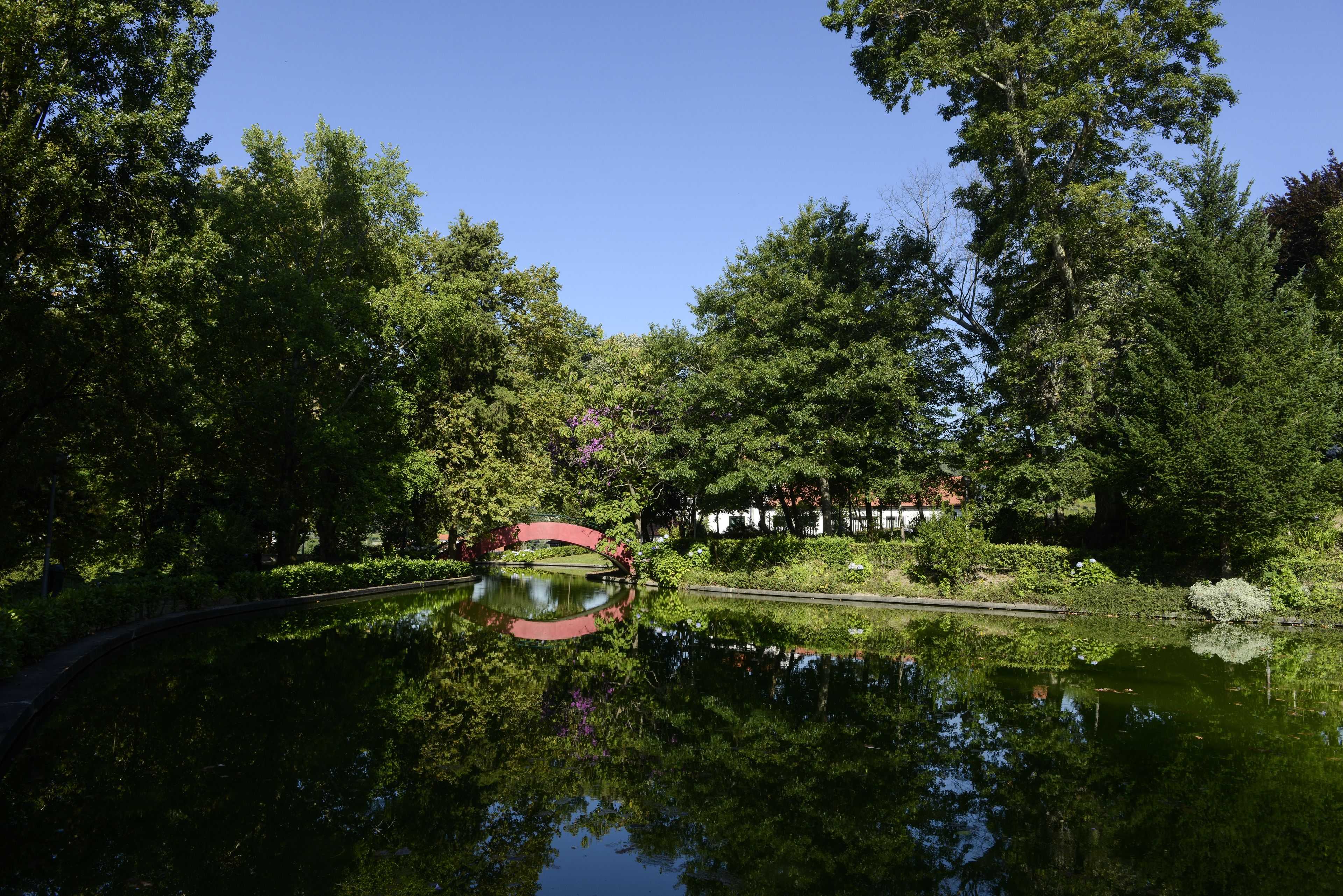 A serene pond with a red bridge, surrounded by lush greenery and trees.