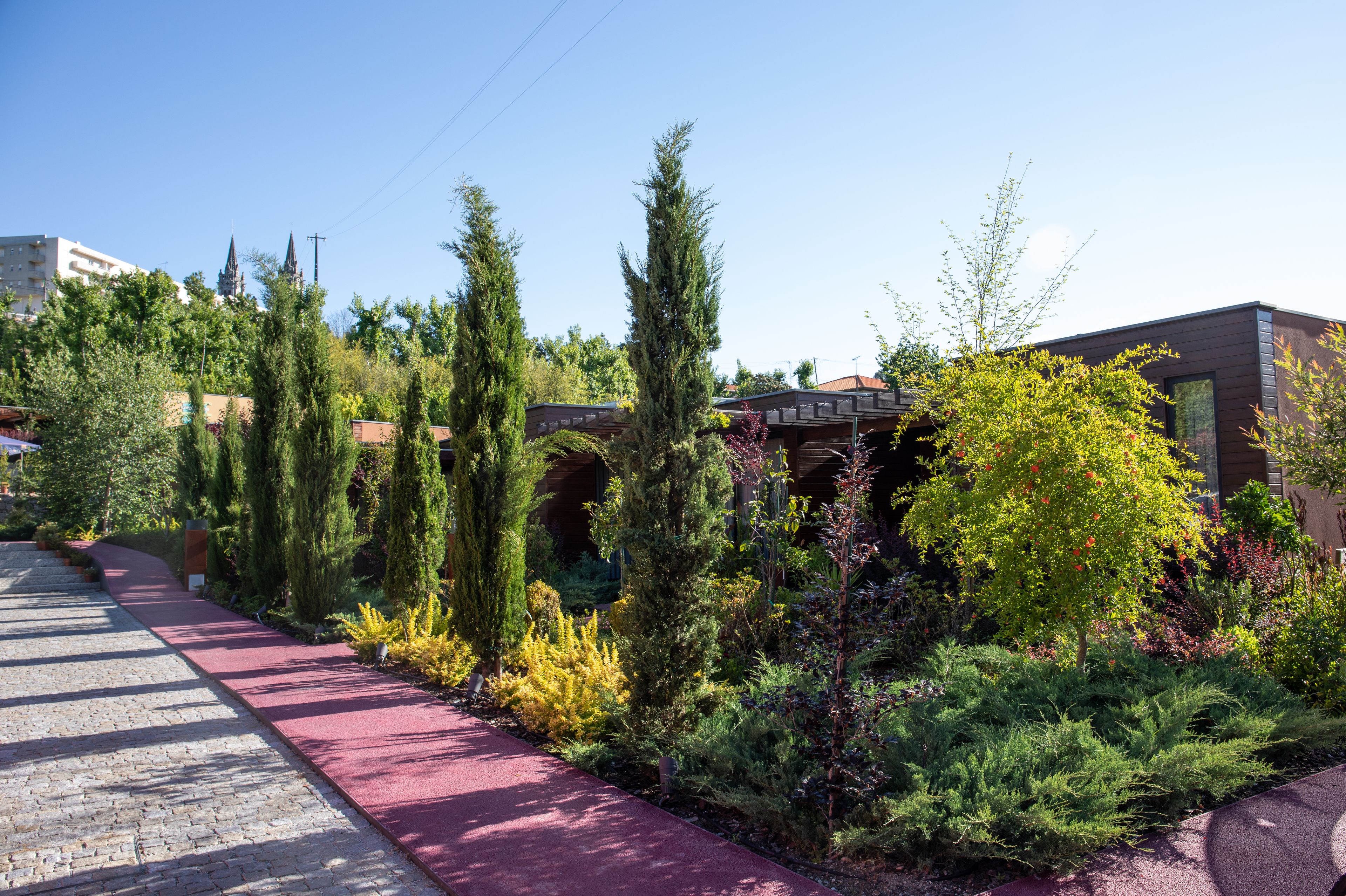 A paved pathway with a red surface, flanked by tall evergreen trees and various shrubs.