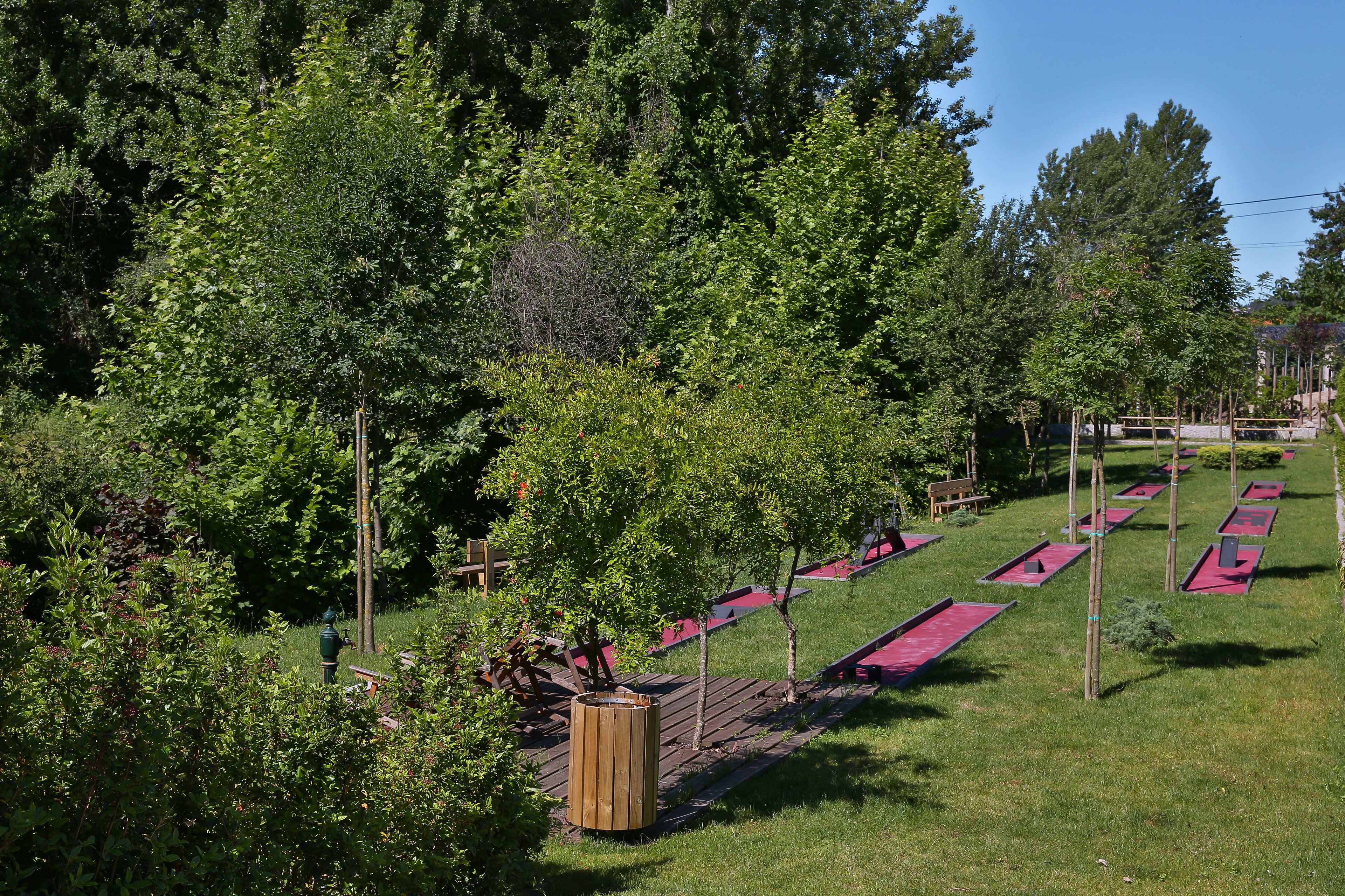 A park with rows of picnic tables and benches, surrounded by dense green trees.