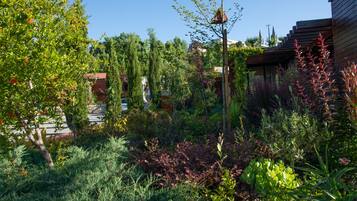 Un jardin avec différentes espèces de plantes et une structure en bois.