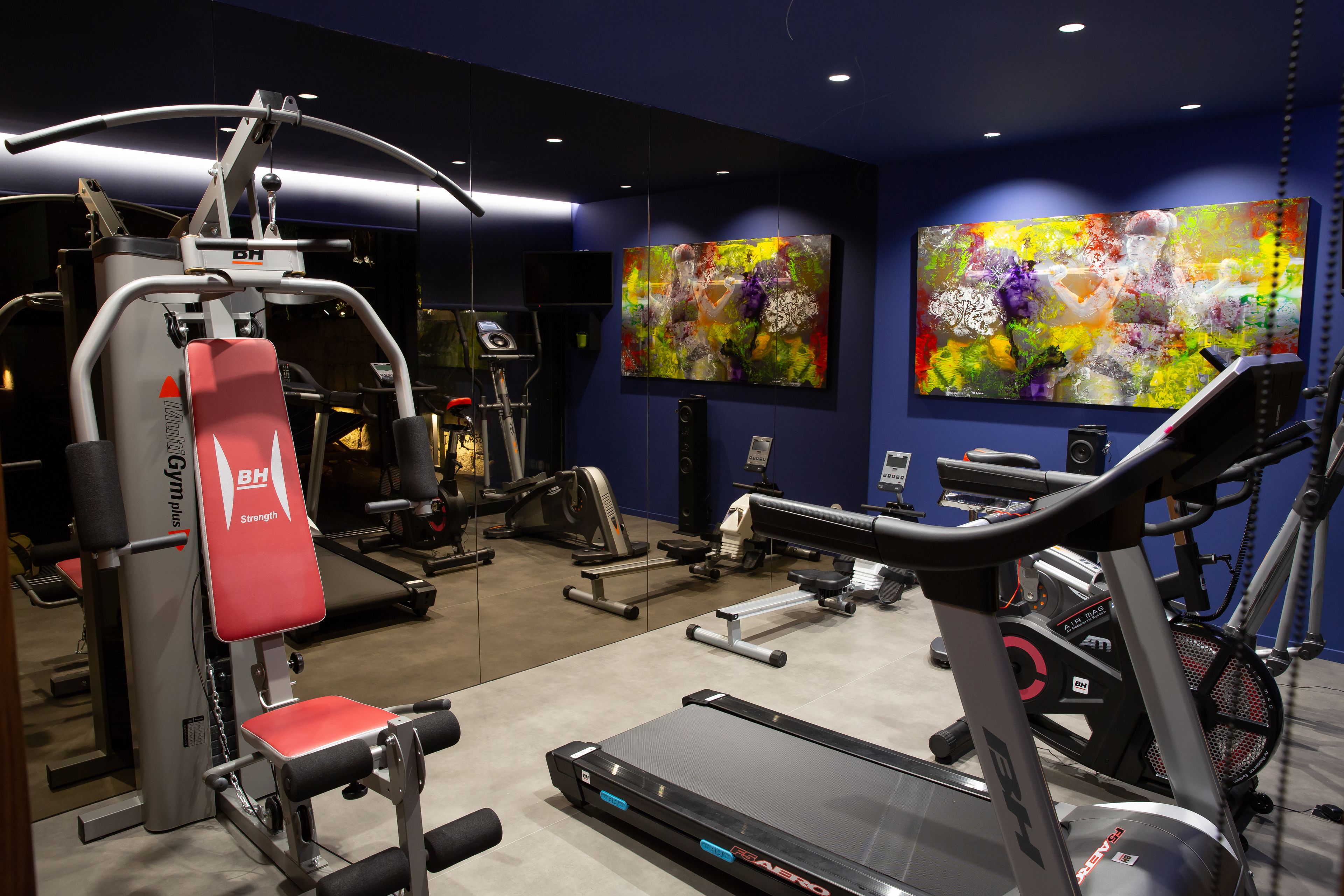 A gym with exercise equipment, a treadmill, and two abstract paintings on the wall.