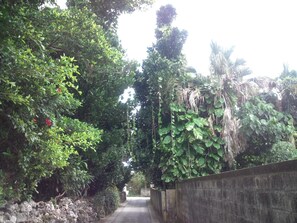 Terrein van de accommodatie