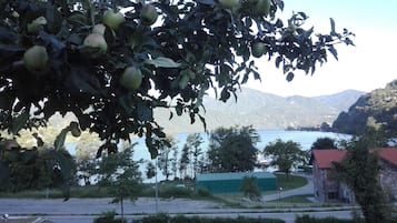 A view of a lake with mountains in the background, a green building, and a tree with green apples.
