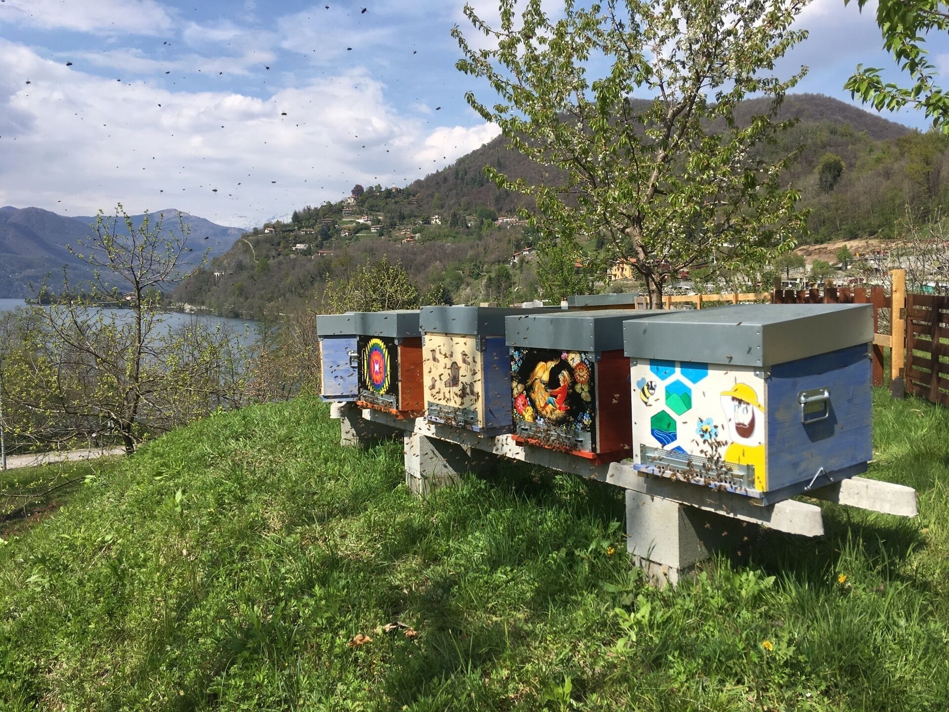 Estructuras tipo panal con diseños artísticos, frente a un lago, montañas y cielo despejado.