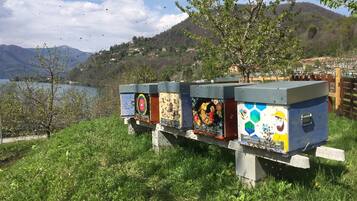 Estructuras tipo panal con diseños artísticos, frente a un lago, montañas y cielo despejado.