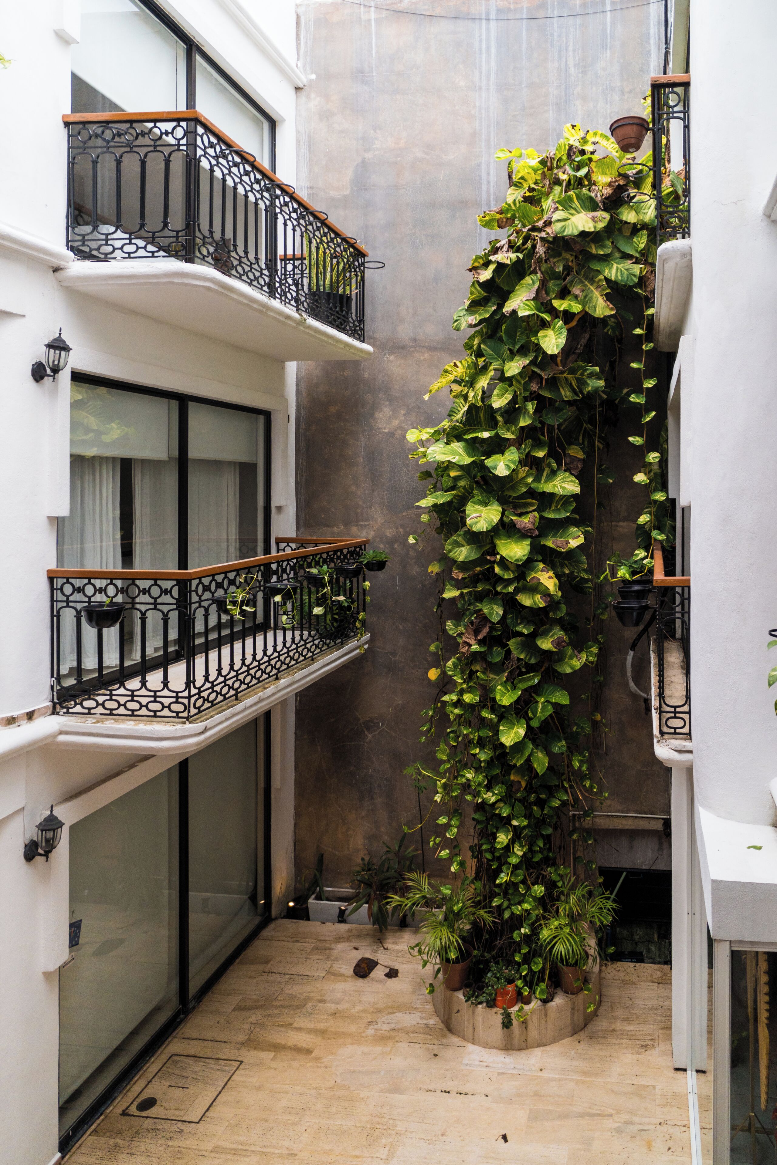Foto - Hotel Banana Boutique & Spa by Paradise Hotels - 5th Av Playa del Carmen