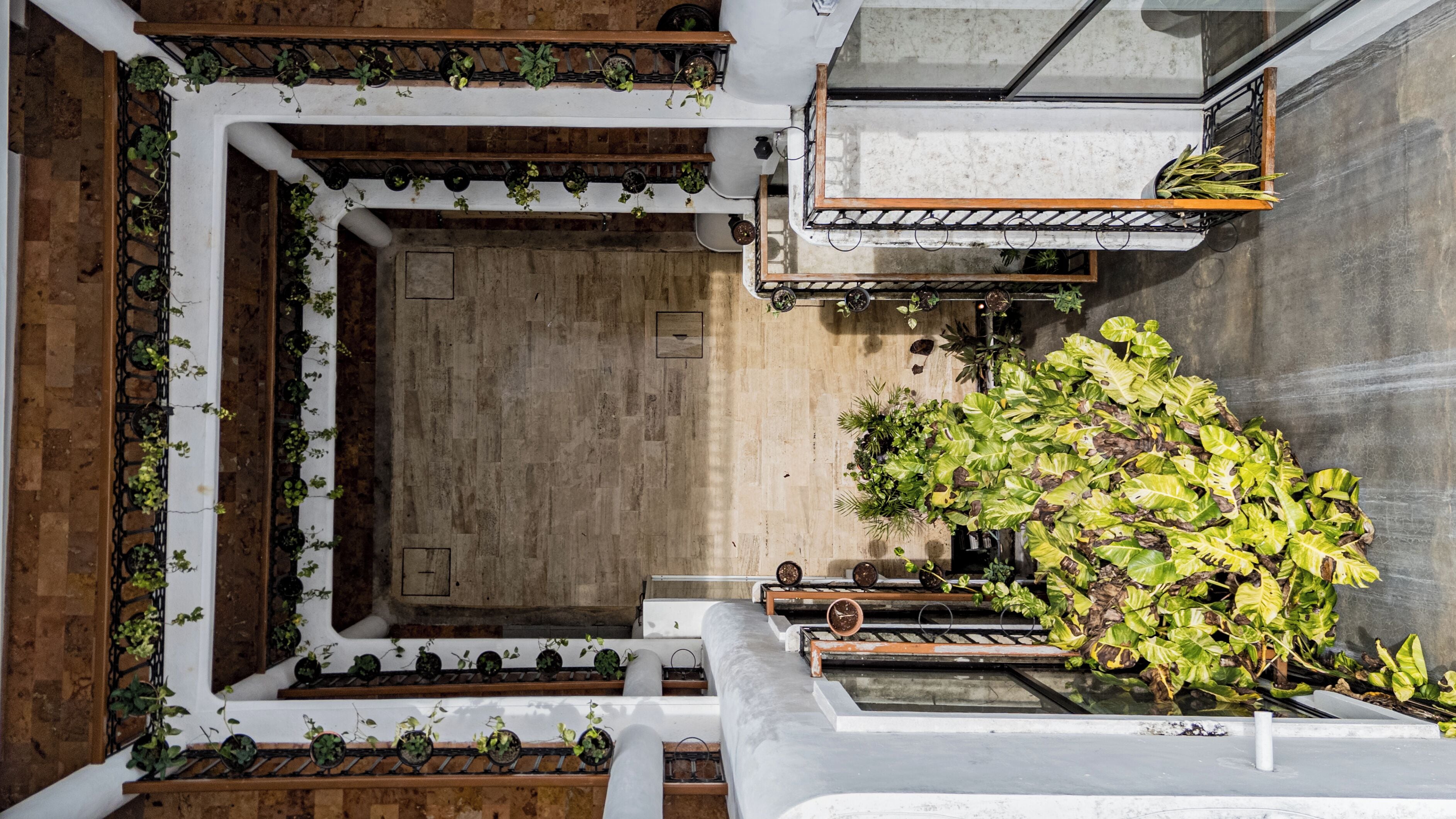 Foto - Hotel Banana Boutique & Spa by Paradise Hotels - 5th Av Playa del Carmen