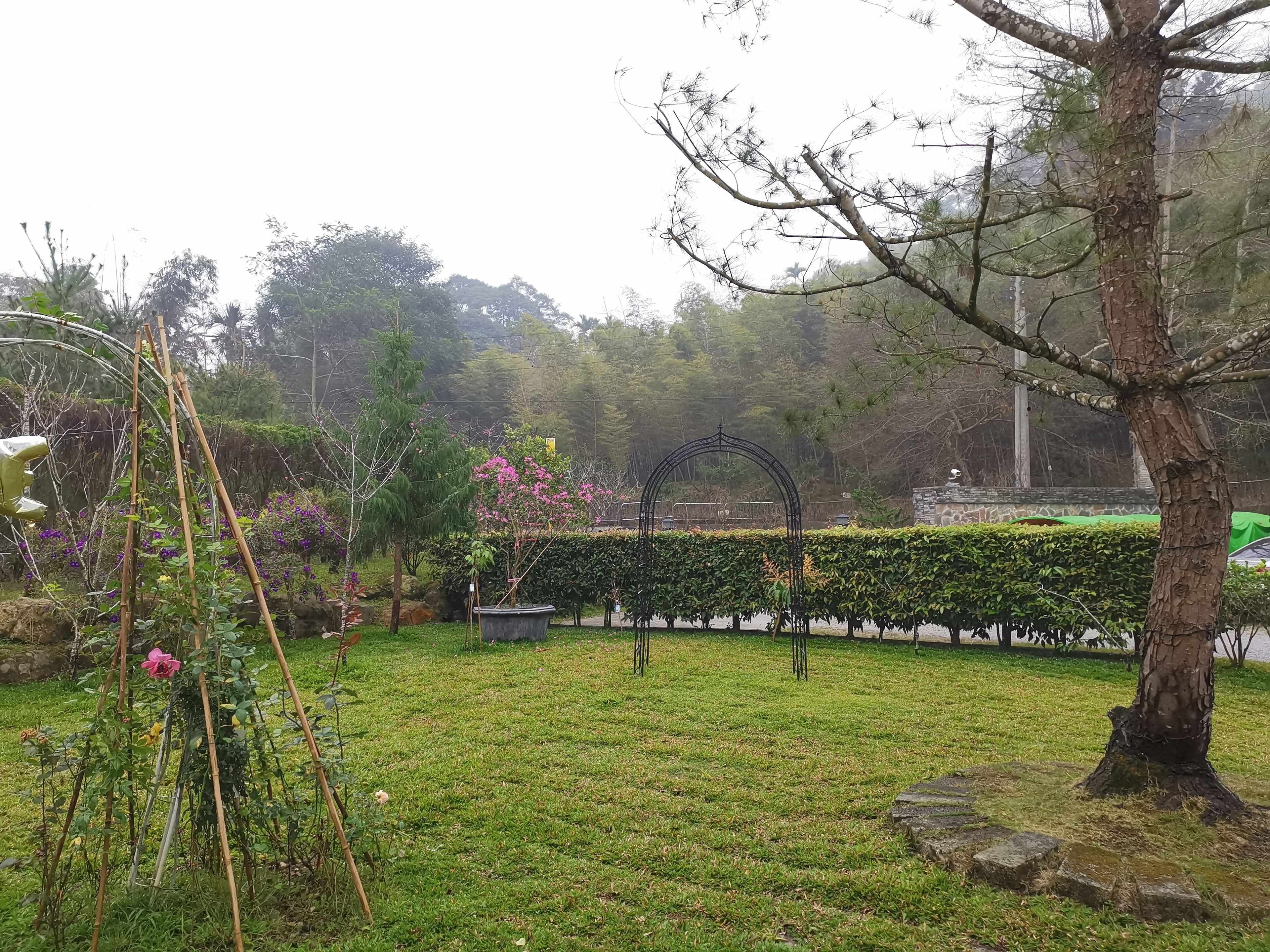 A garden with a grassy area, a bamboo structure, and a metal archway.