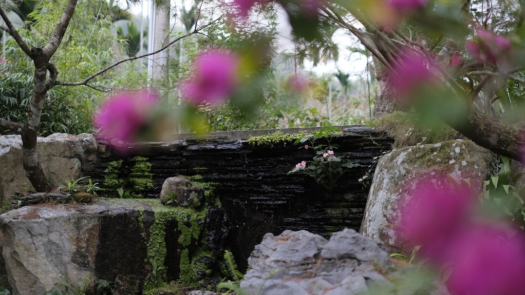 桃花源渡假村評價、特色體驗、房價資訊、訂房連結 – 山林秘境親子友善民宿 - 照片 5
