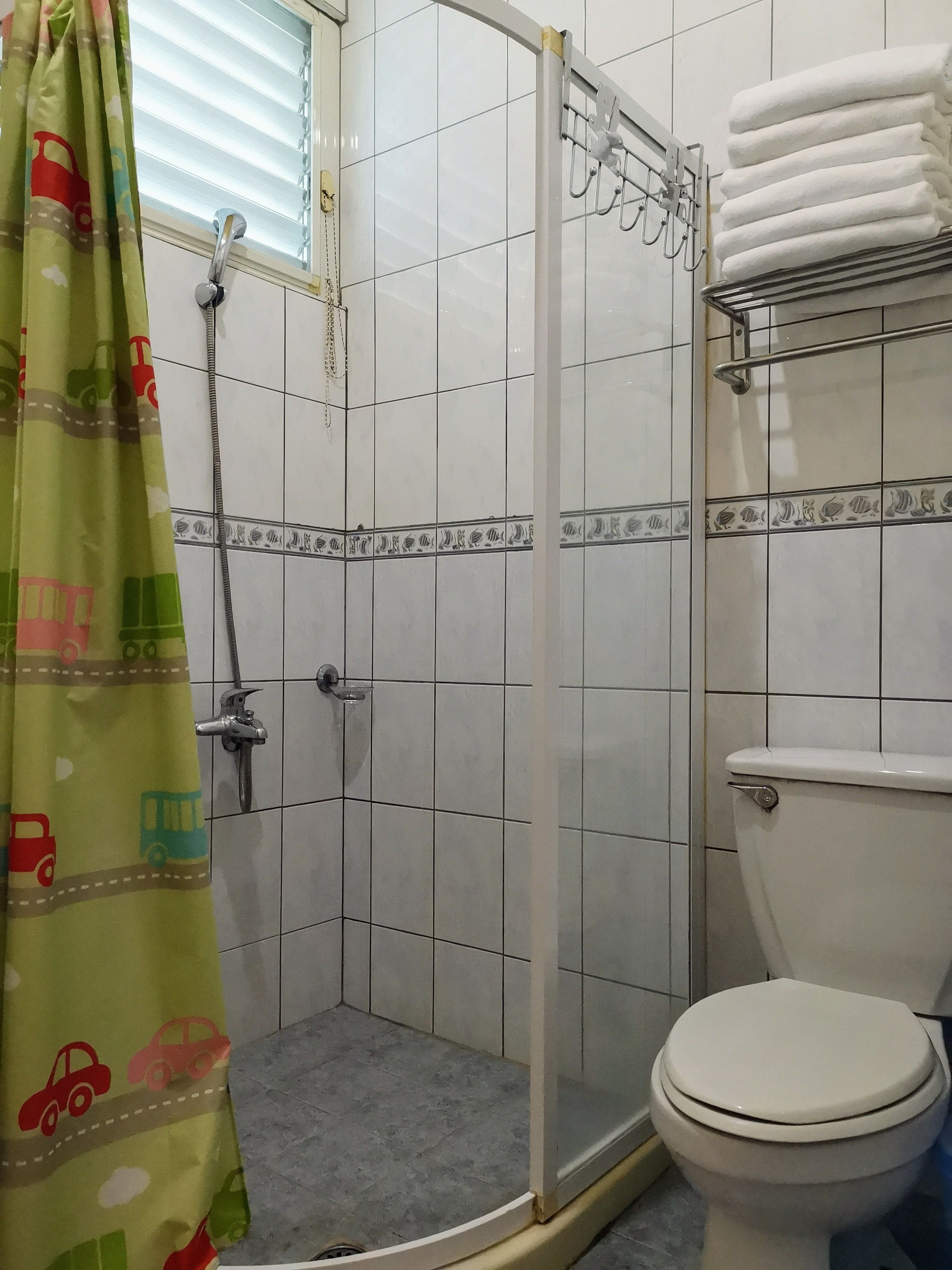 A bathroom with a shower, toilet, and a towel rack.