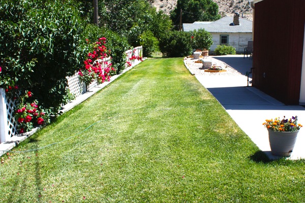 Jardines del alojamiento