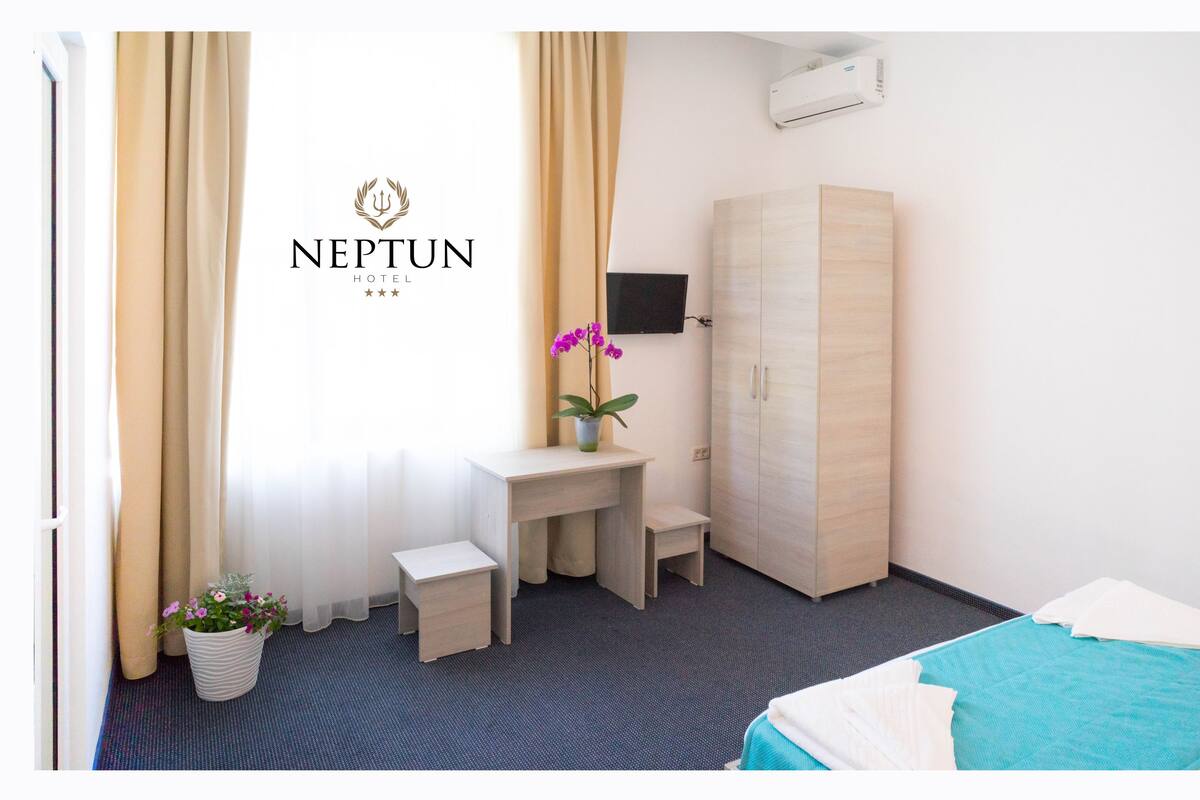 Una habitación de hotel con cama, escritorio, armario, planta en maceta y televisor.