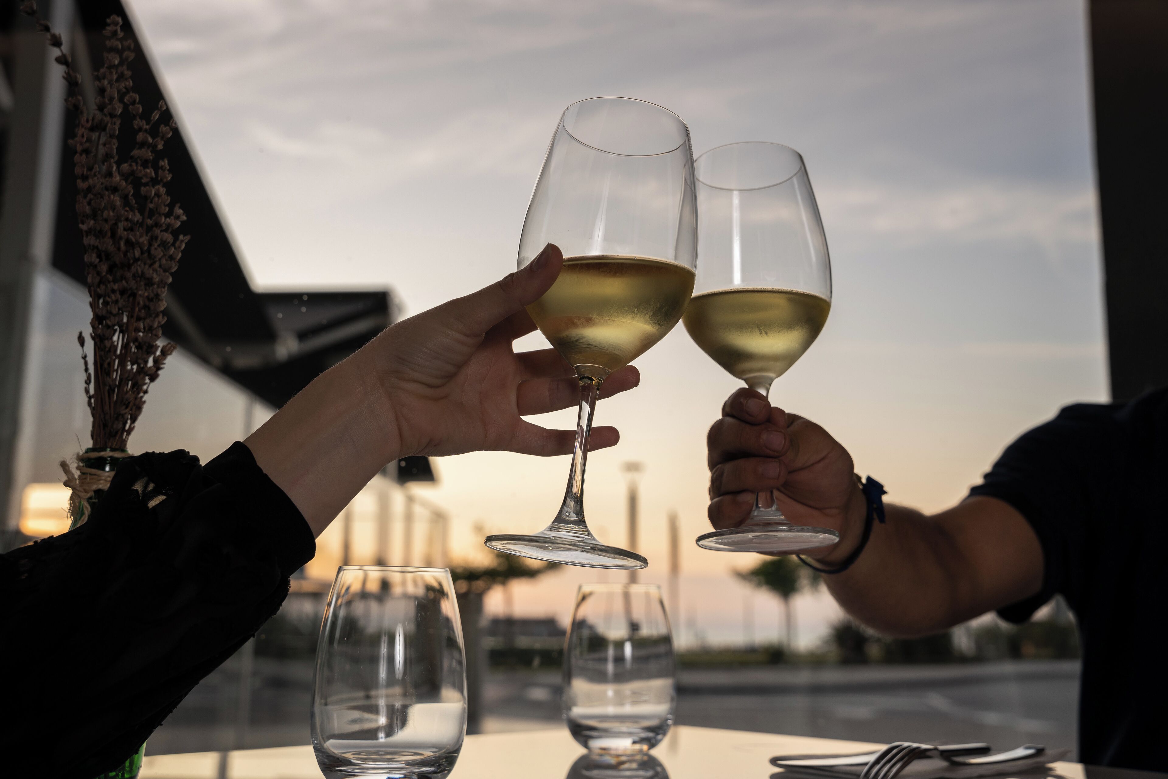 Dos personas brindando con copas de vino a una mesa con vista al cielo.