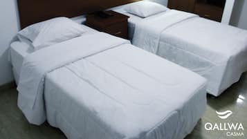 Twin Room | Minibar, desk, rollaway beds, free WiFi