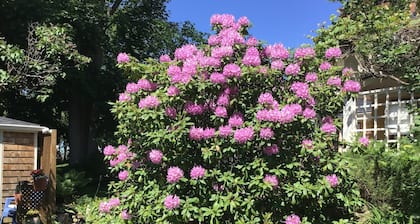 The Stella Rose B&B