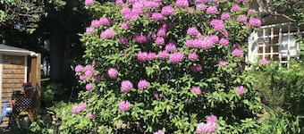 The Stella Rose B&B