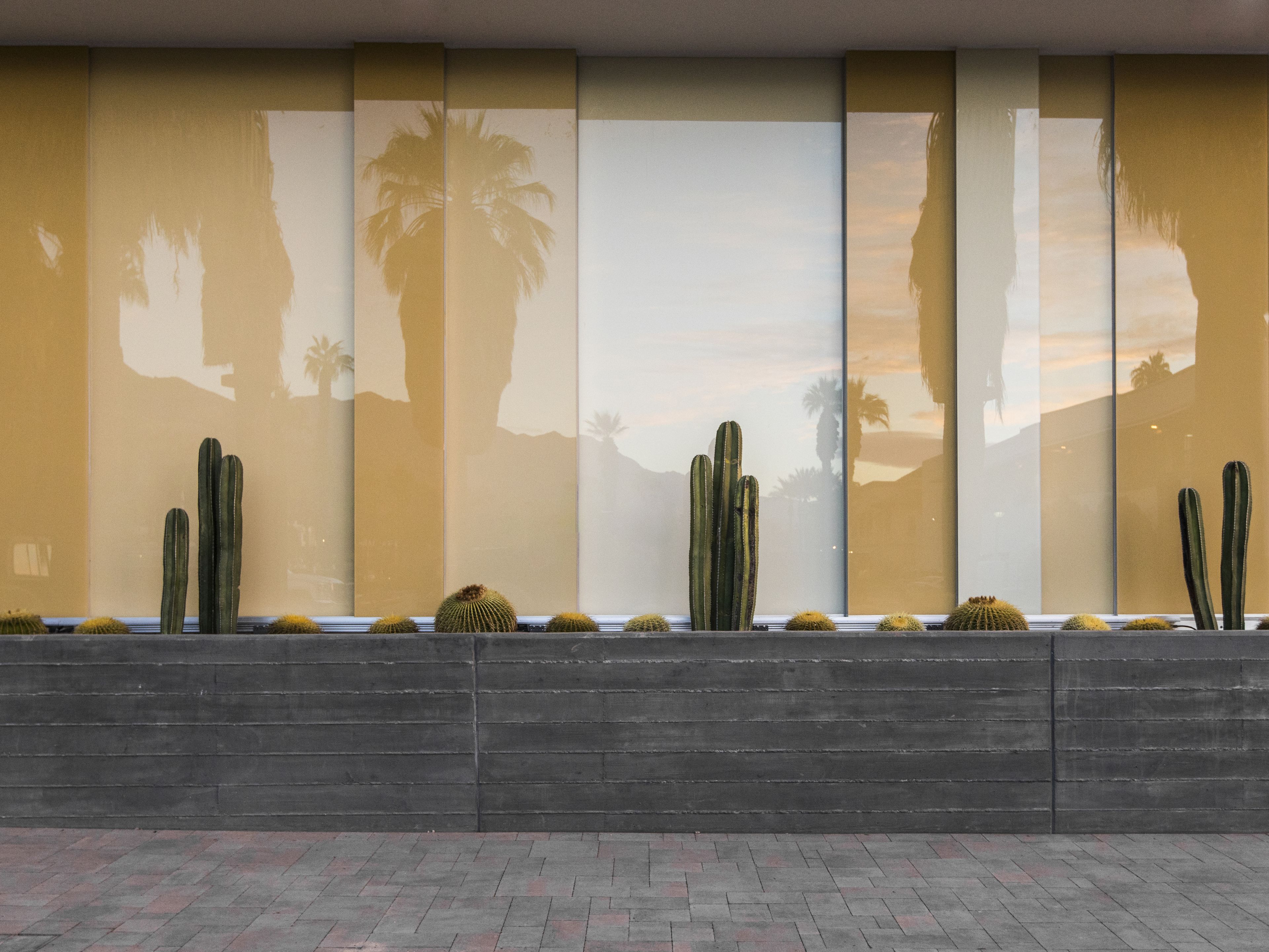 Een muur met een woestijnlandschap weerspiegeld in een spiegel, inclusief cactussen en palmbomen.