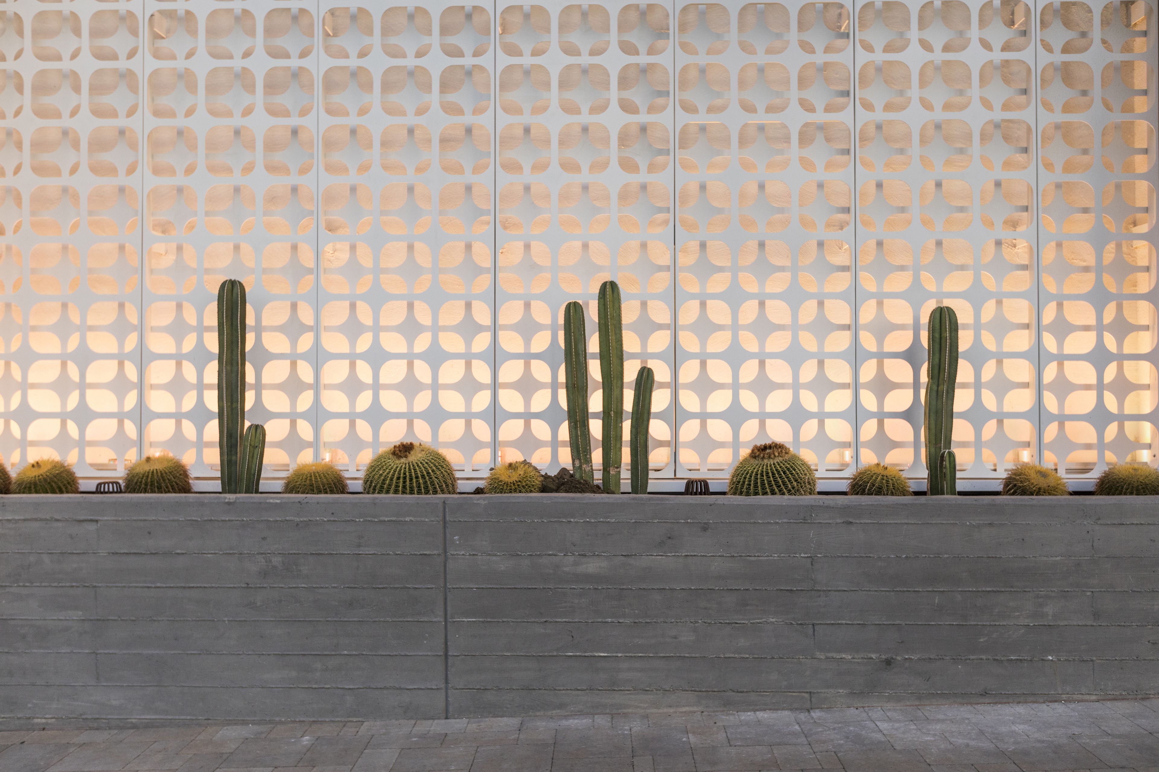 Foto - Kimpton Rowan Palm Springs Hotel by IHG