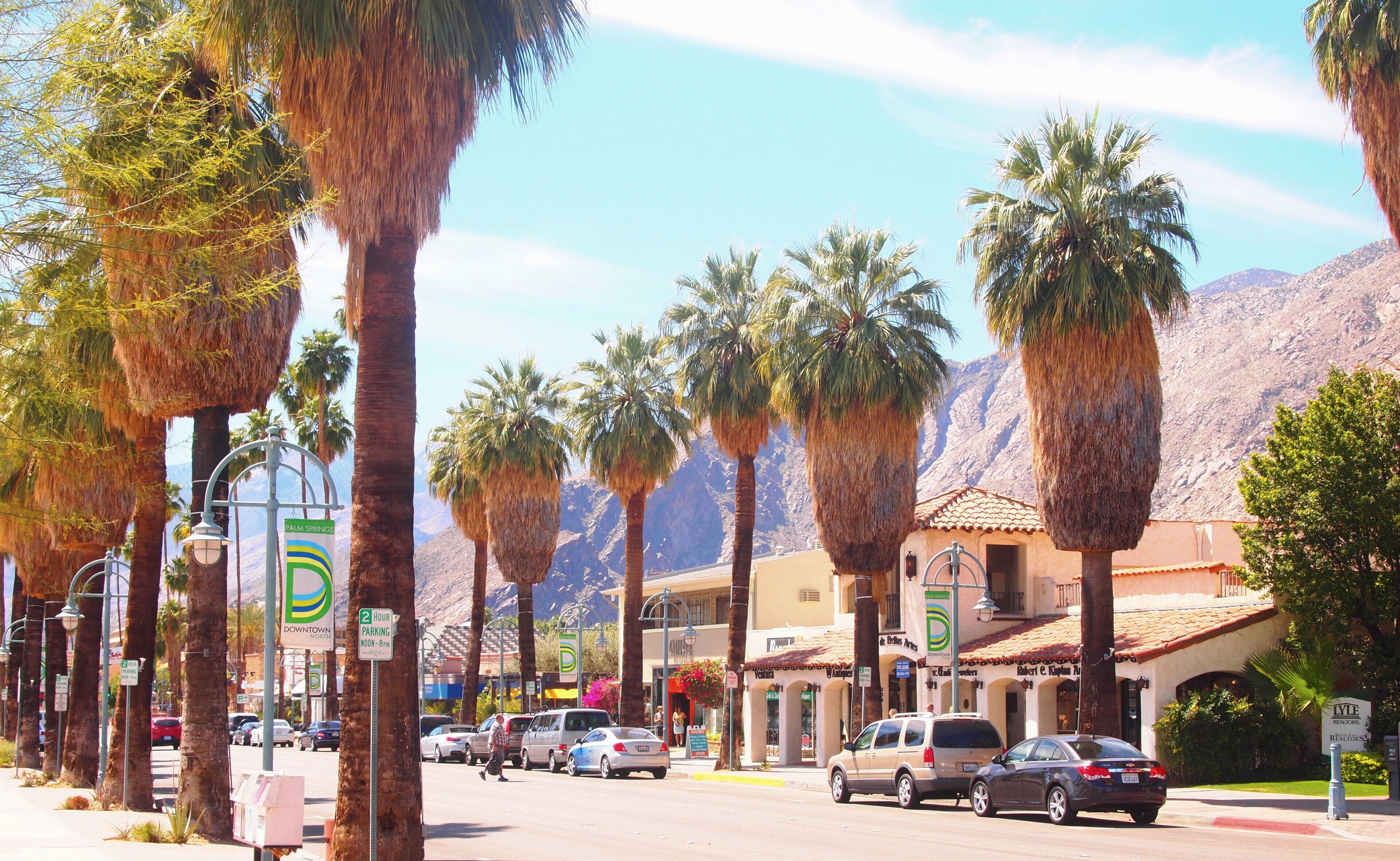 A street lined with palm trees and a mountain in the background.