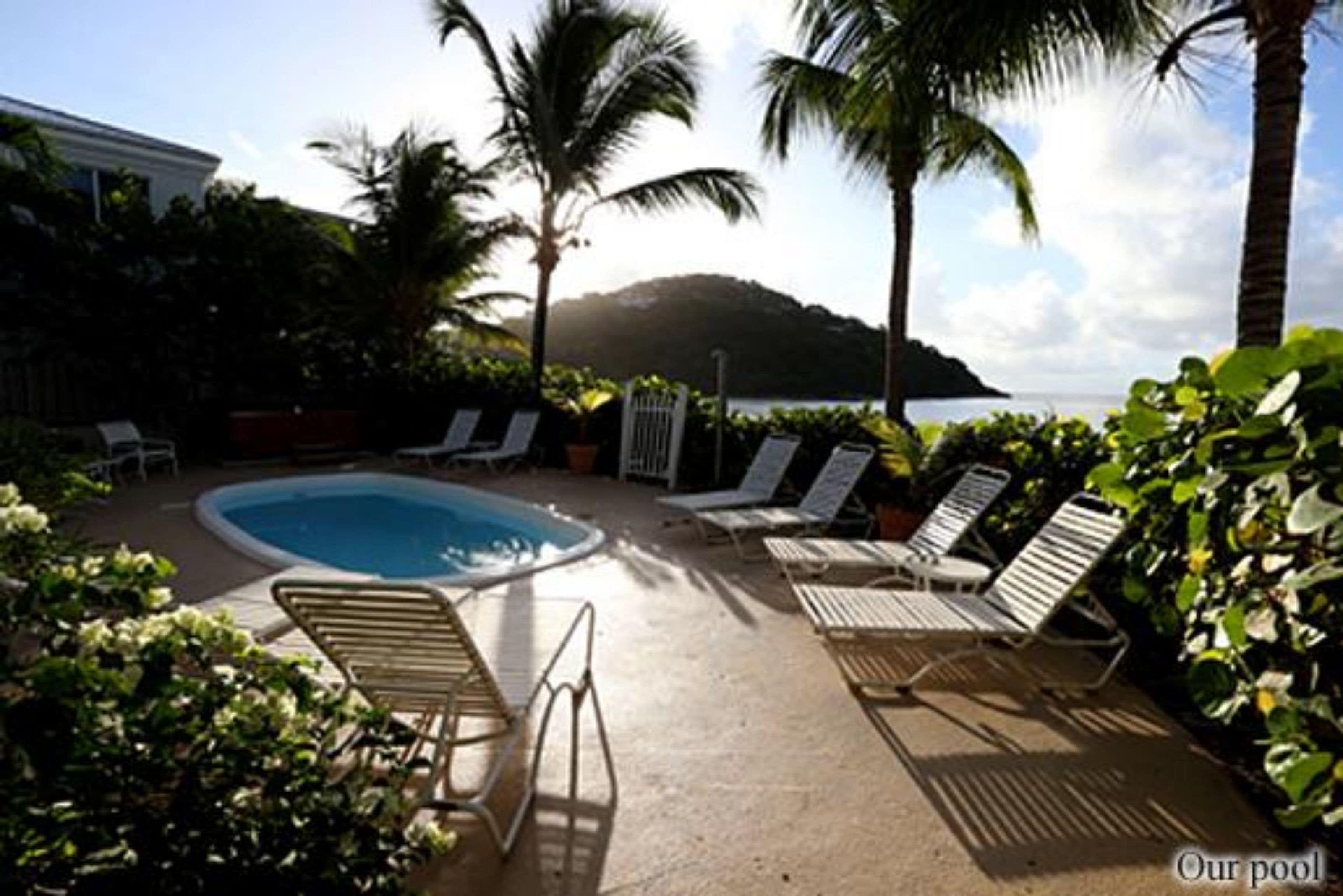 A pool area with lounge chairs and palm trees, surrounded by greenery and a view of the sea.