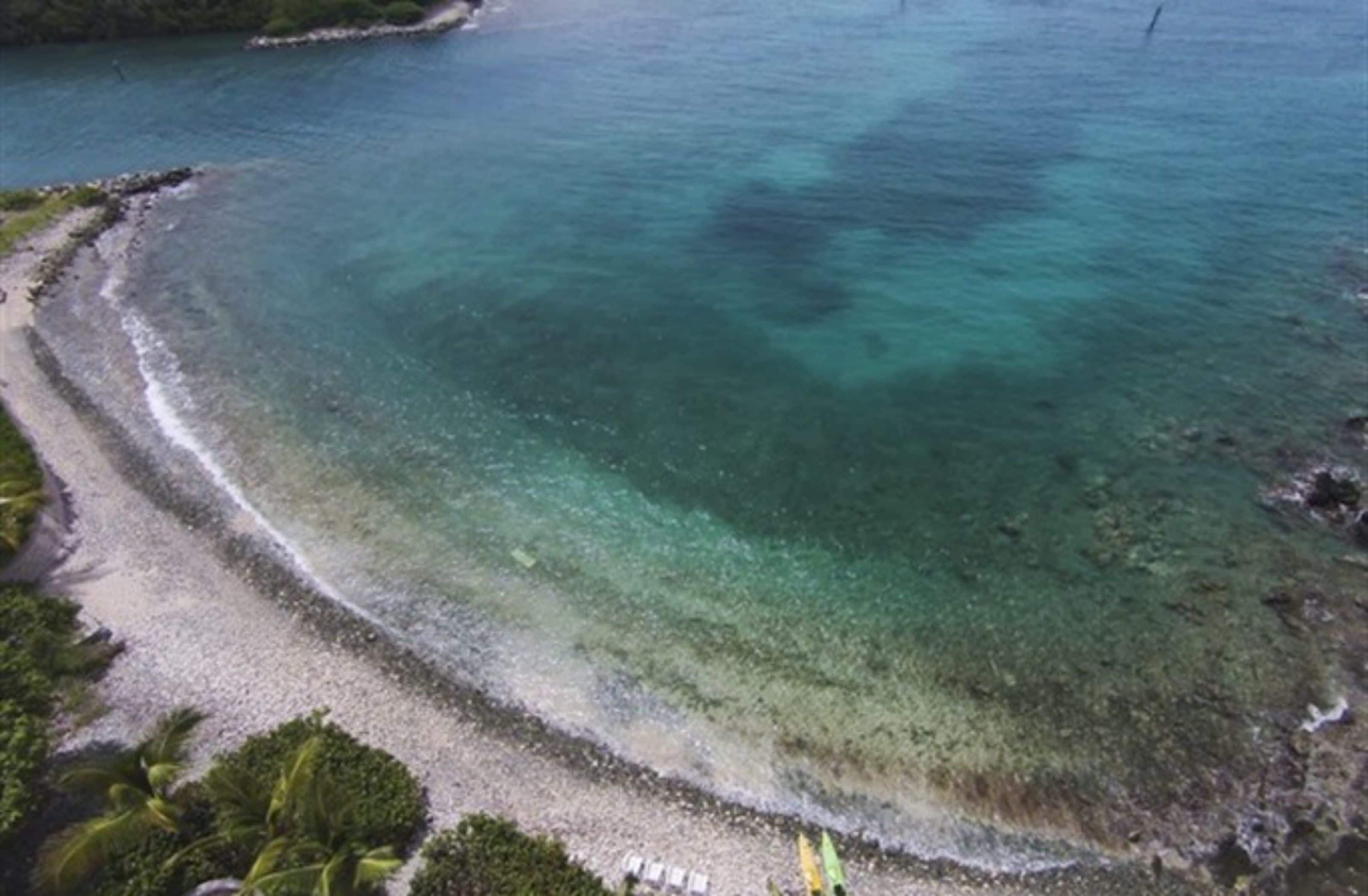Ein Küstenstrand mit klarem türkisblauem Wasser, einem Sandufer und etwas Vegetation.
