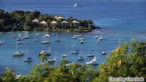 A coastal scene with numerous boats anchored in calm waters, a small island with buildings and trees, and a clear sky. - Coconut Coast Villas (St. John)