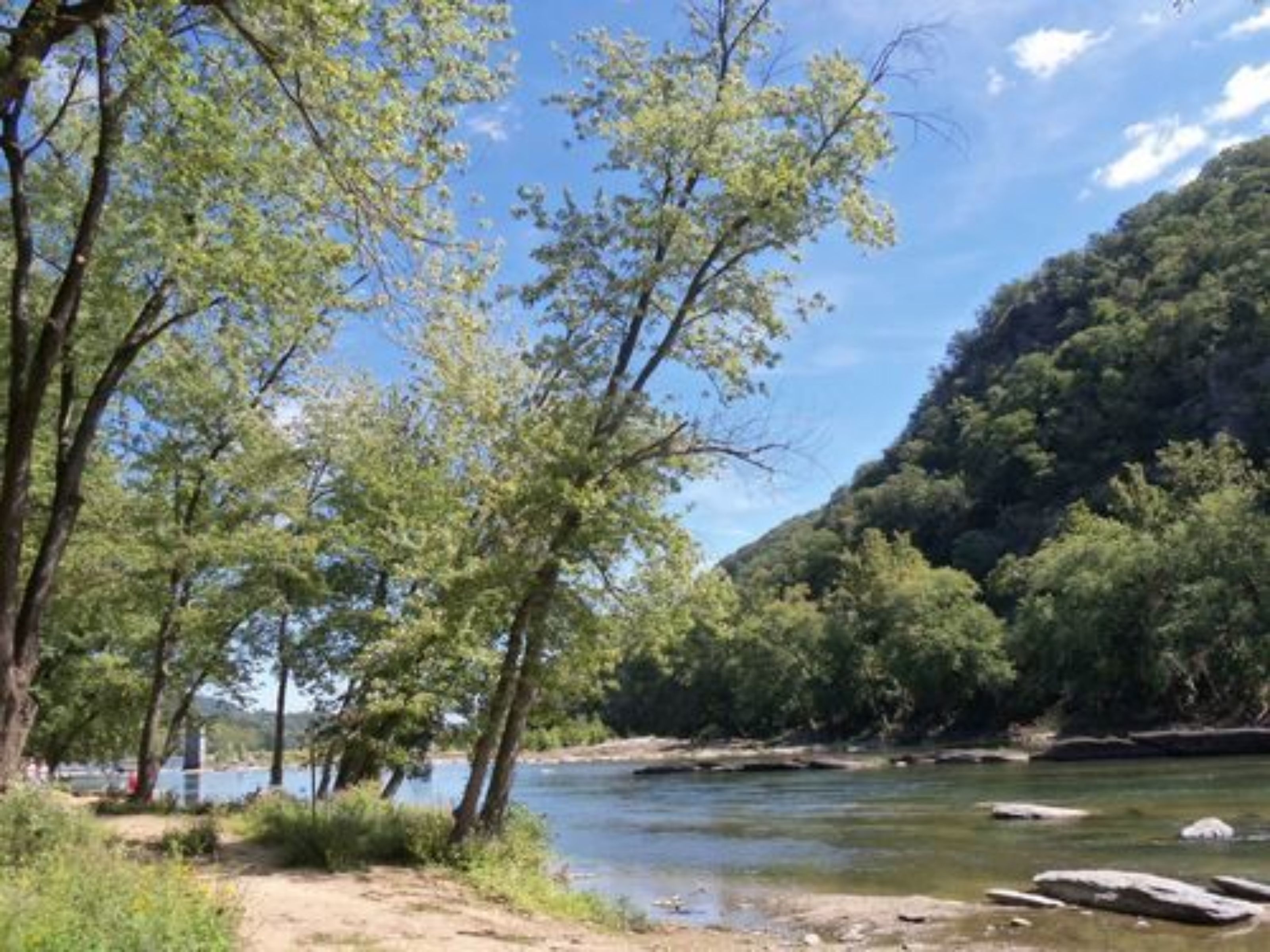 A river surrounded by trees and a hill.
