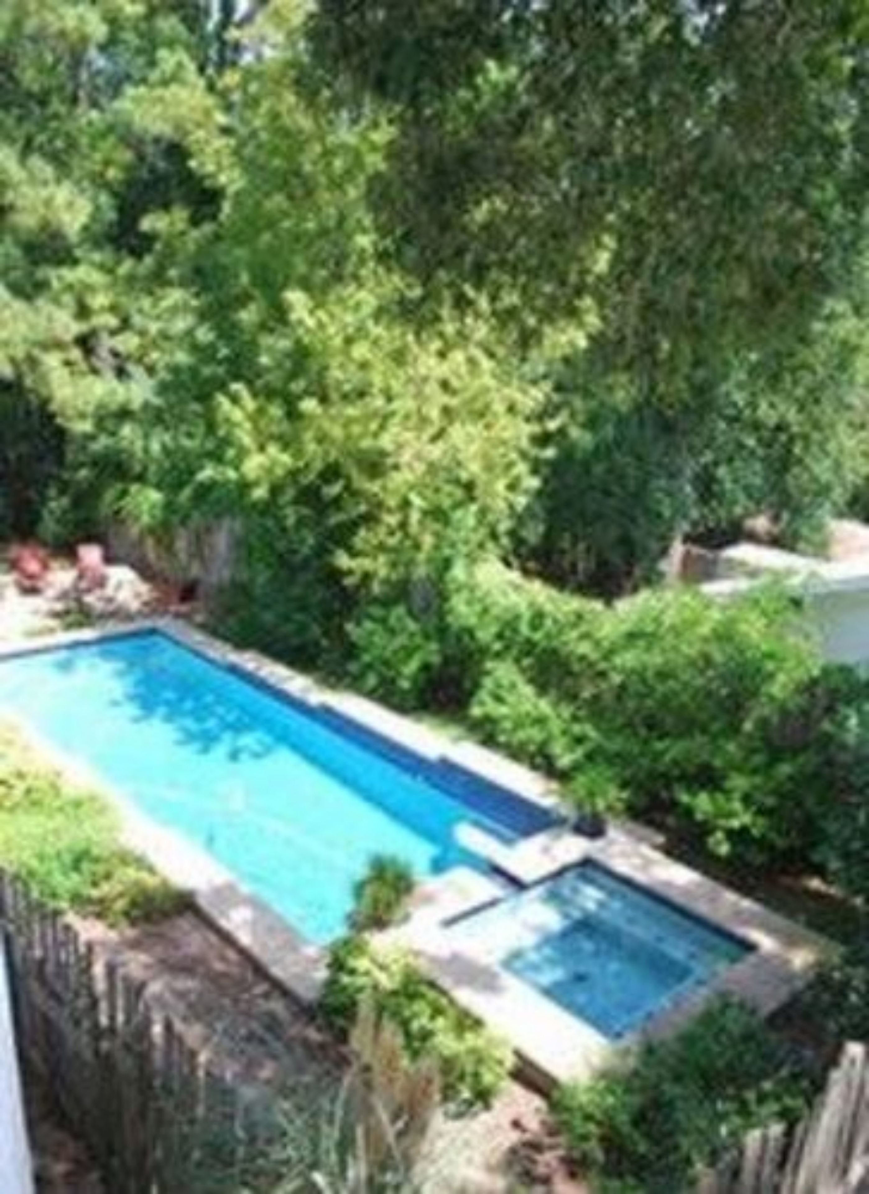 A rectangular swimming pool surrounded by lush greenery.