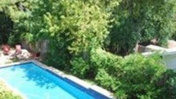 A rectangular swimming pool surrounded by lush greenery.